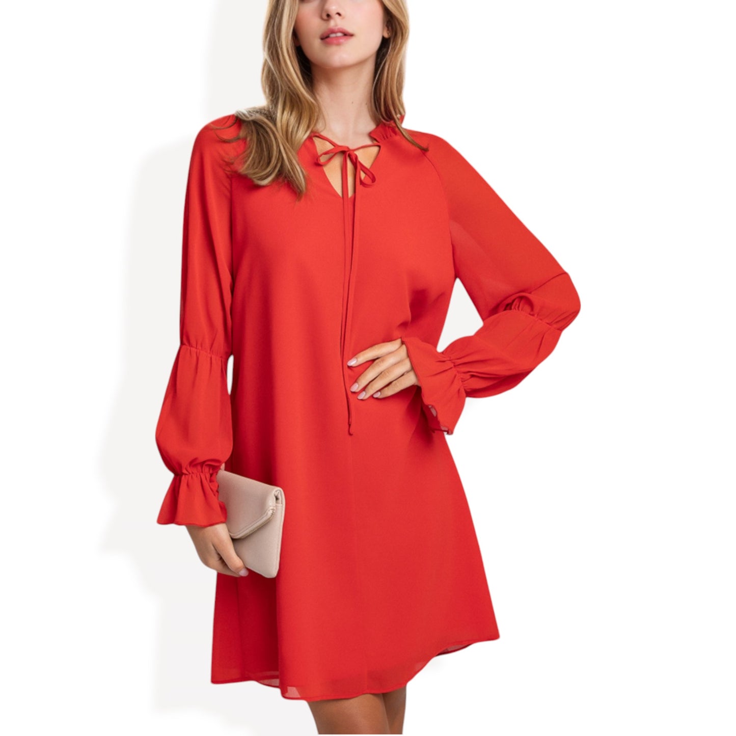 Anna-Kaci Women's A-Line Chiffon Dress with Sheer Sleeves and Tie Neck Detail