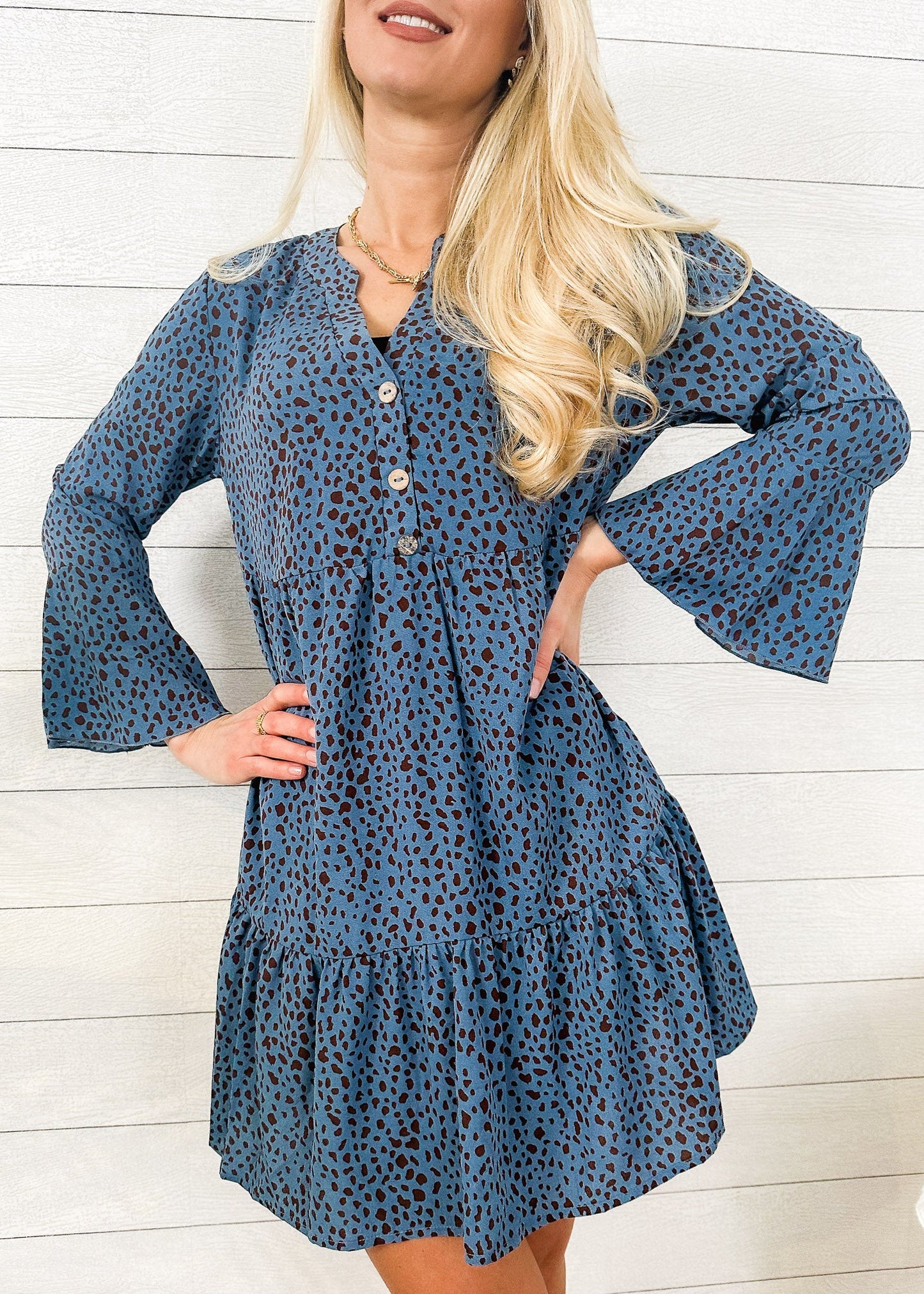 Long Sleeve Dotted Print Dress