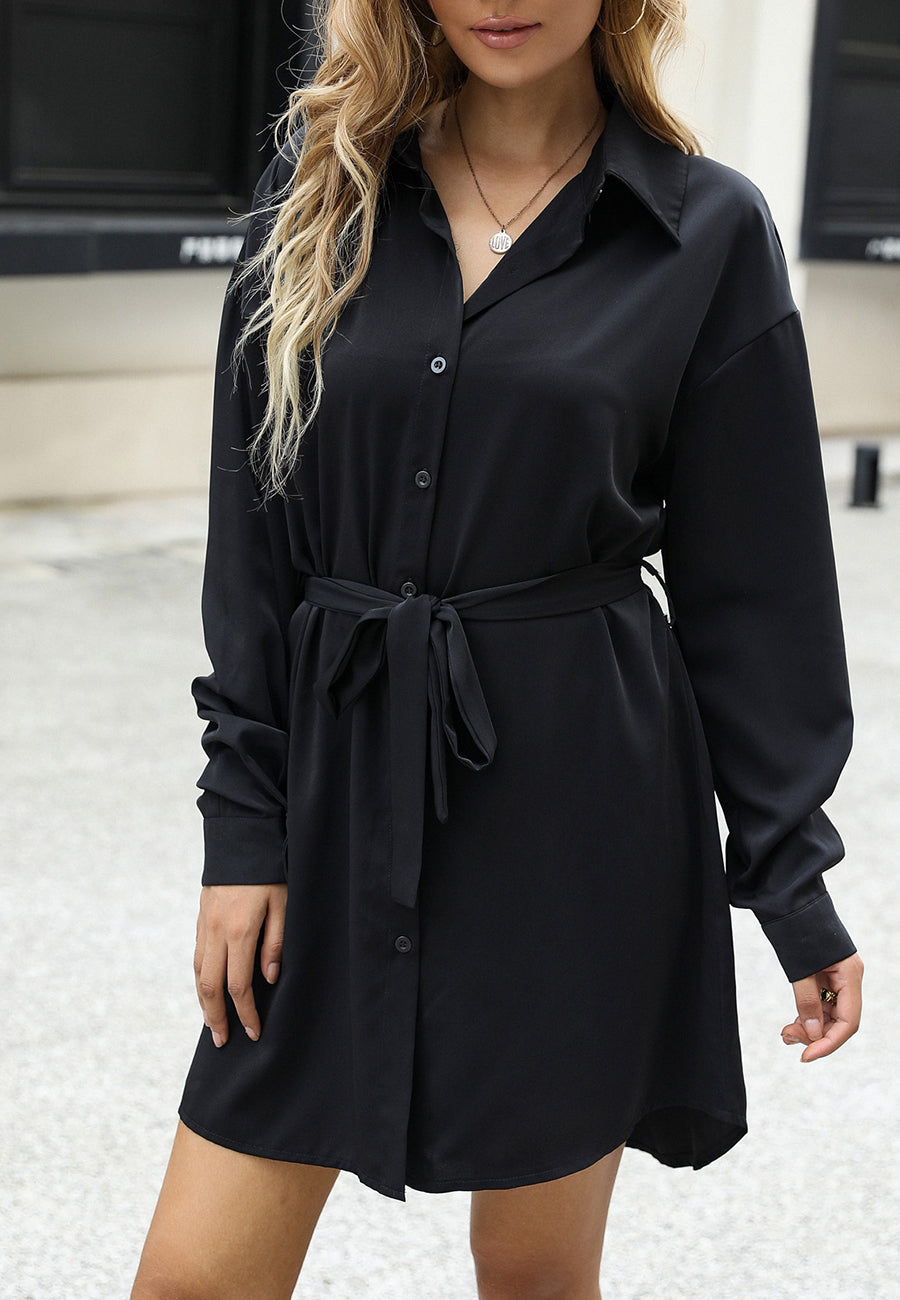 Solid Button Down Polo Dress