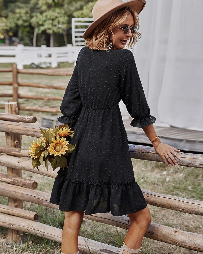 Crochet Lace Clip Dot Neck Dress