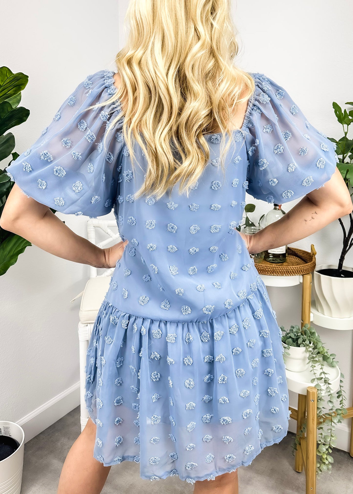 Puff Sleeve Swiss Dot Dress