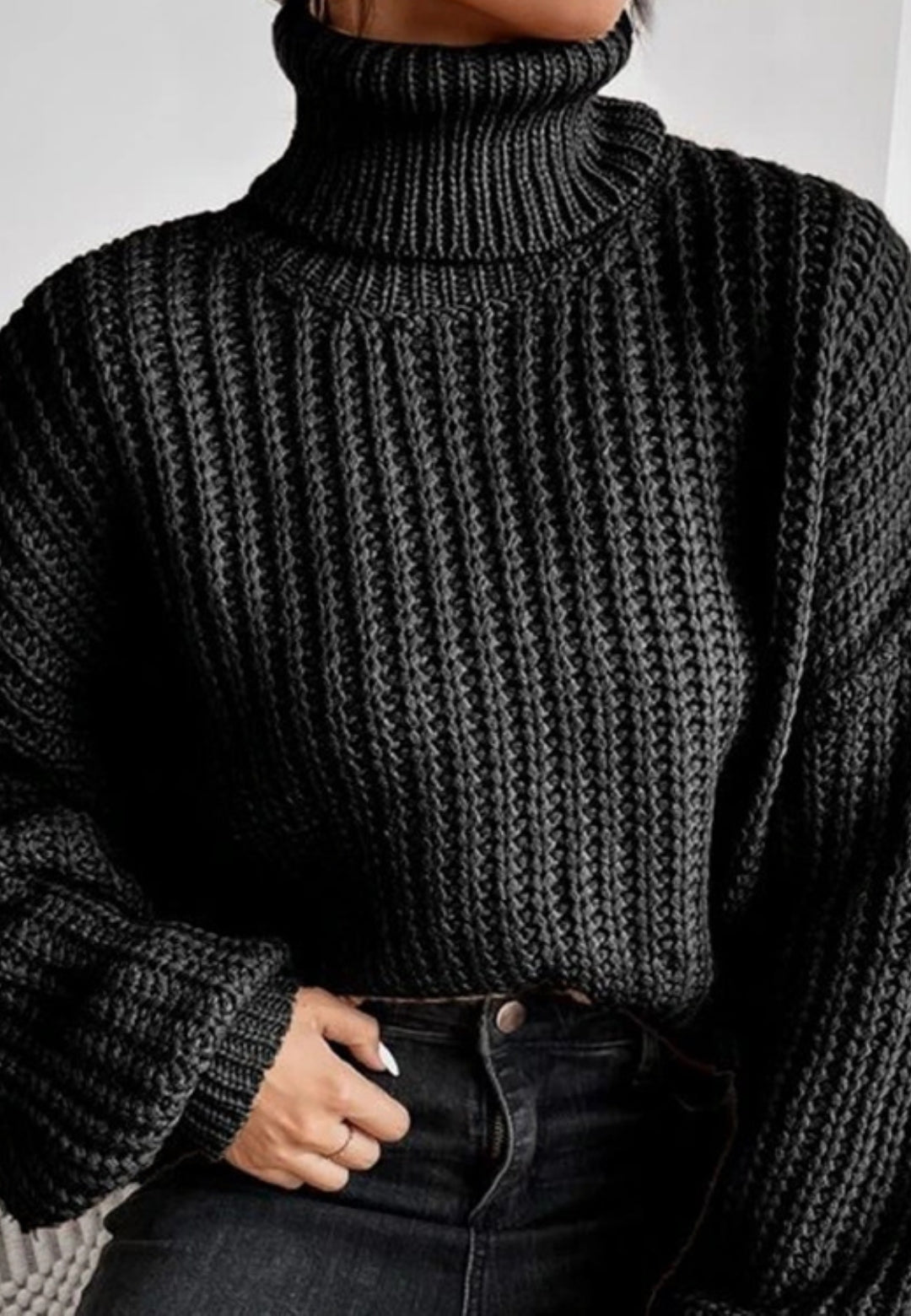 Turtle Neck Baggy Sleeves Sweater