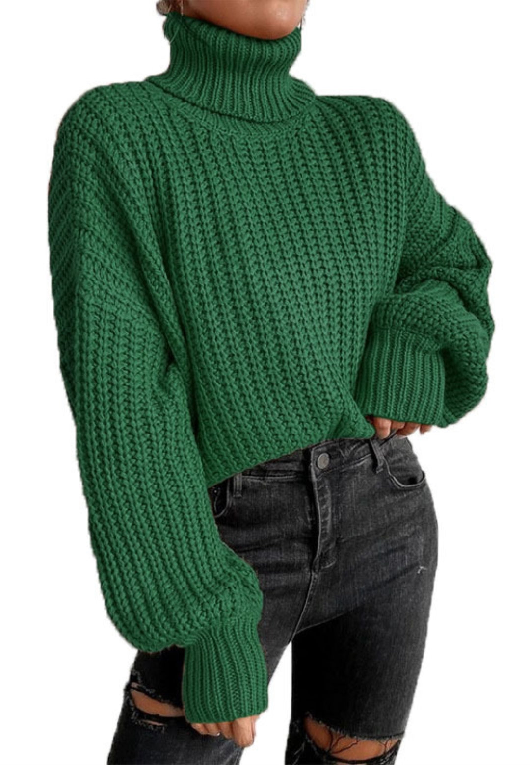 Turtle Neck Baggy Sleeves Sweater