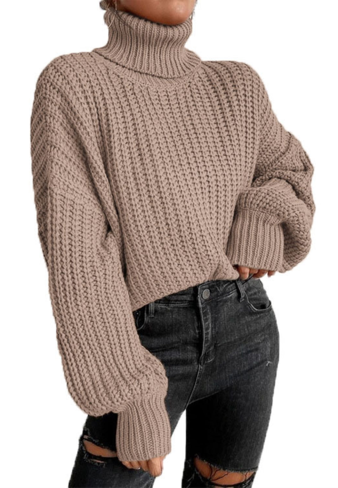 Turtle Neck Baggy Sleeves Sweater