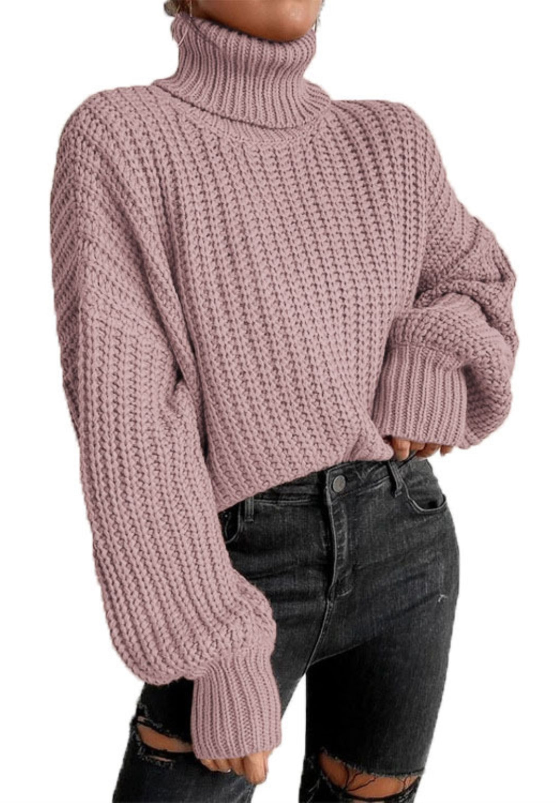 Turtle Neck Baggy Sleeves Sweater