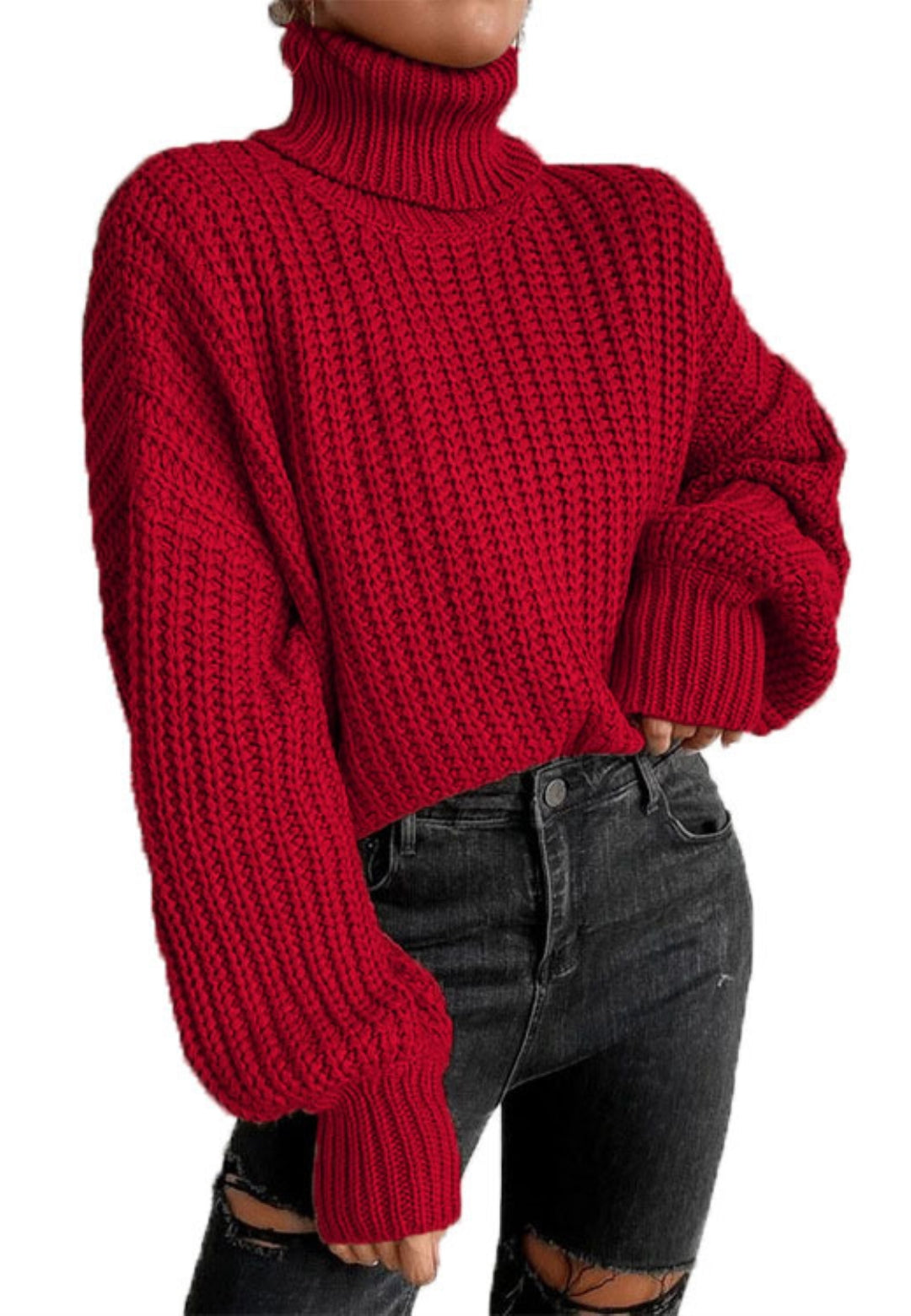 Turtle Neck Baggy Sleeves Sweater