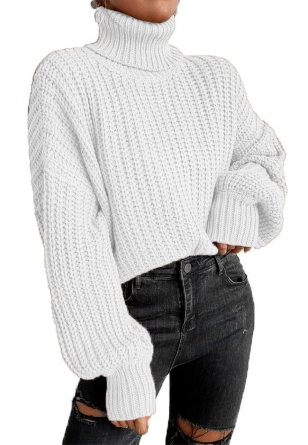 Turtle Neck Baggy Sleeves Sweater