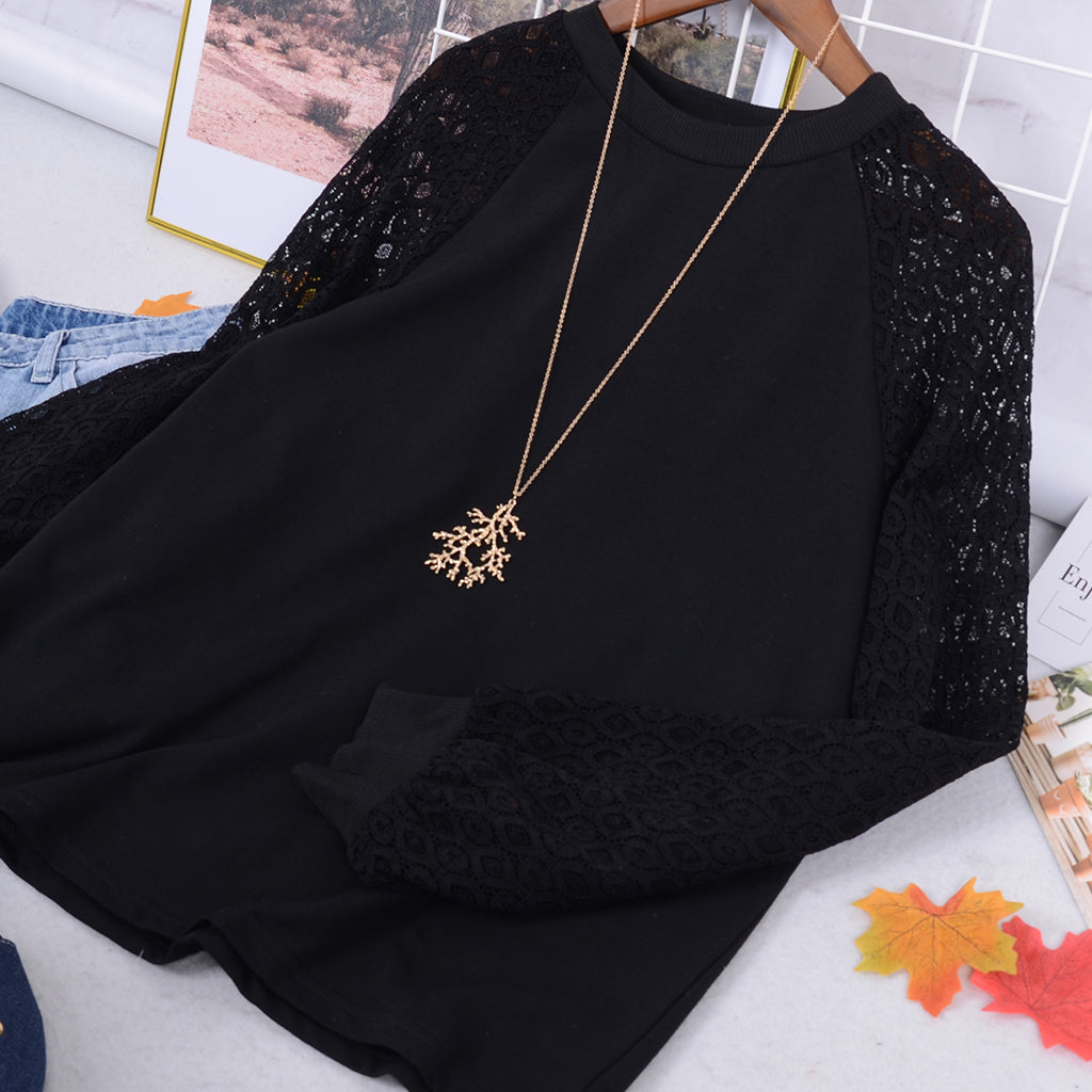 Lace Raglan Fall Pullover