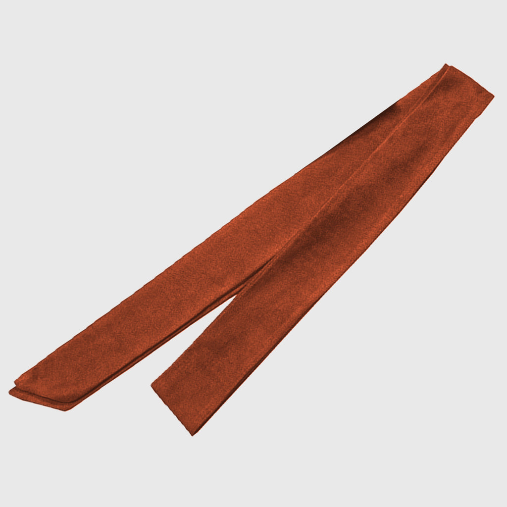 Anna-Kaci Women's Suede Tie Belt - Luxury Waist Cincher for Dresses, Gowns & Elegant Outfits