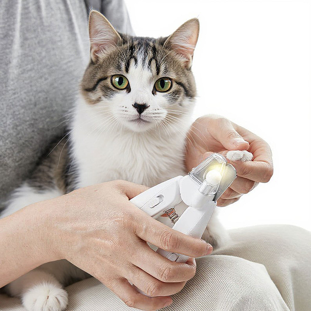 Anna-Kaci Rechargeable Pet Nail Grinder with LED Light Quiet Electric Cat and Dog Grooming Tool