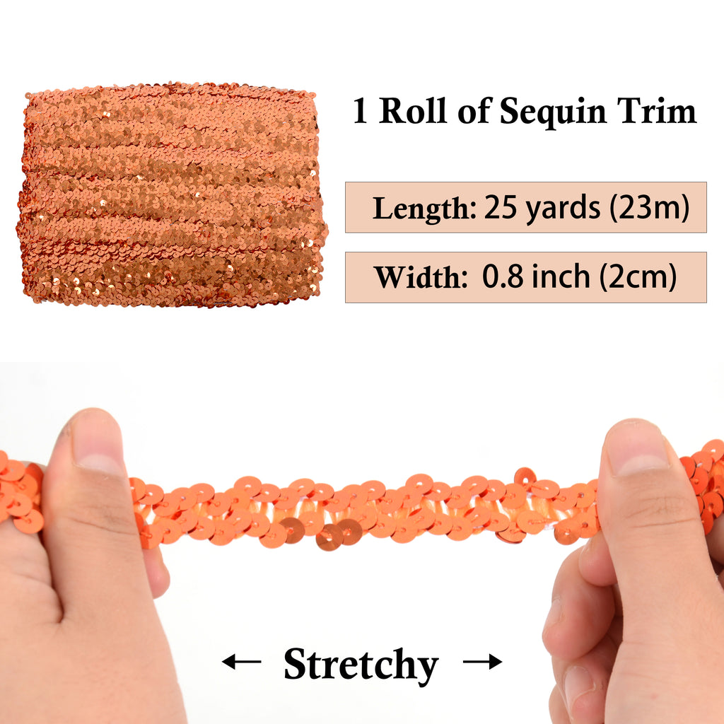 Alilang Elastic Sequin Trim, 0.8 Inch 2 Row Flat Glitter Paillette Sequin Ribbon, Metallic Sequin Strip DIY Decorations, 25 Yards
