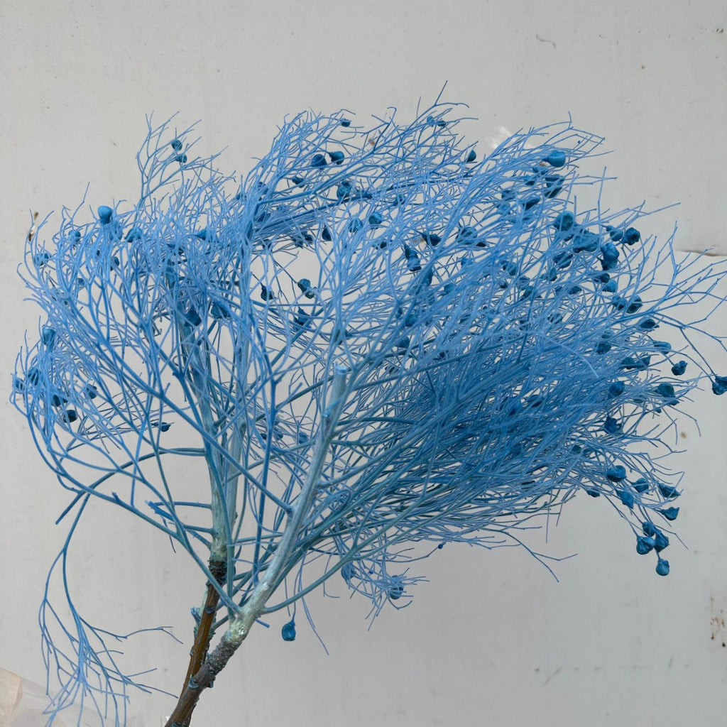 Alilang Decorative Dried Ming Fern Stems for Elegant Home Decoration and Creative Floral Arrangements