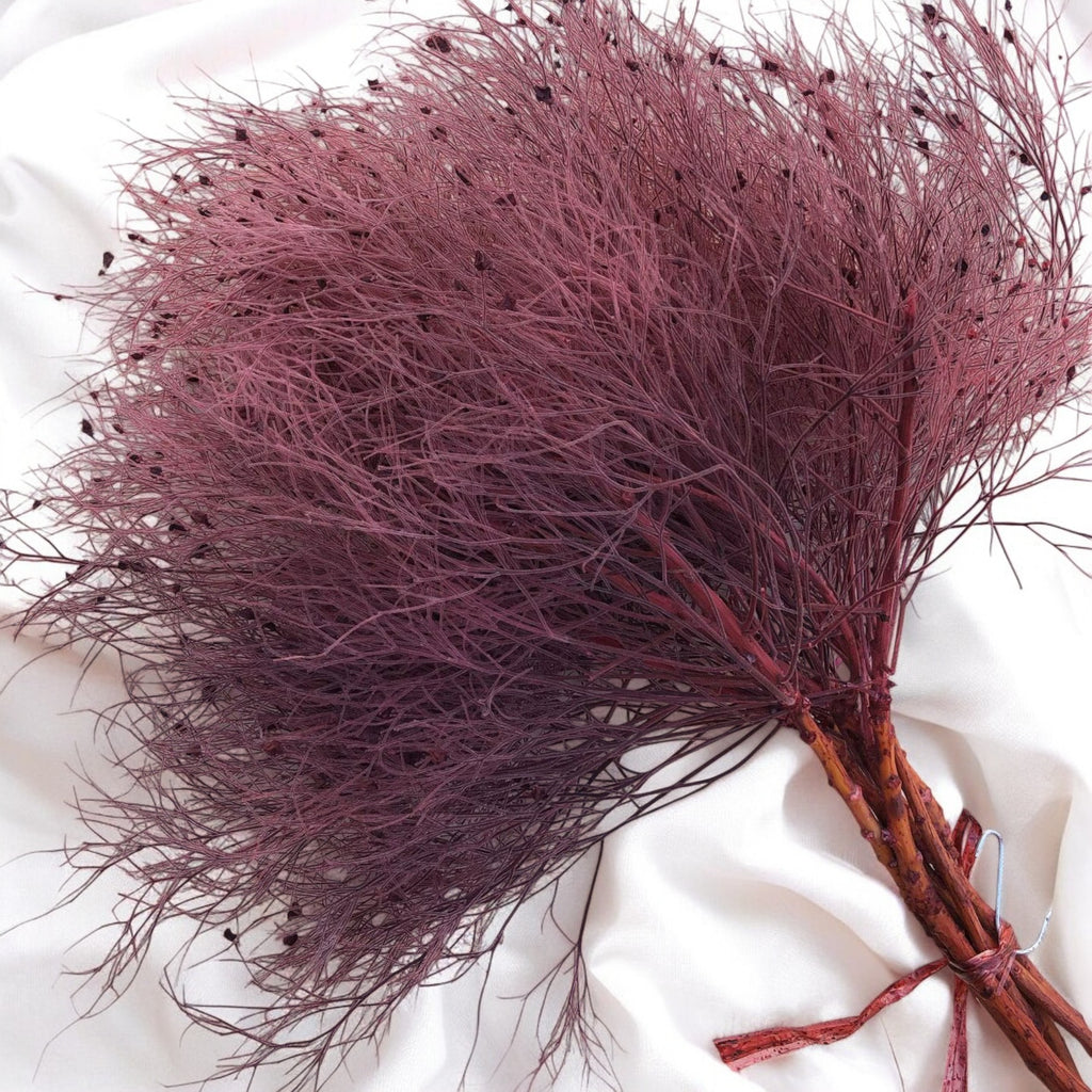 Alilang Decorative Dried Ming Fern Stems for Elegant Home Decoration and Creative Floral Arrangements