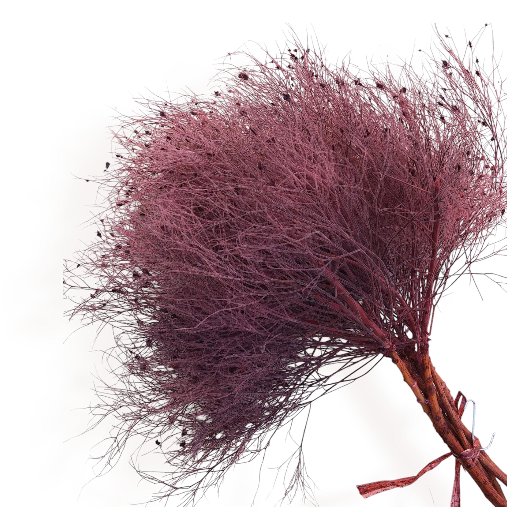 Alilang Decorative Dried Ming Fern Stems for Elegant Home Decoration and Creative Floral Arrangements