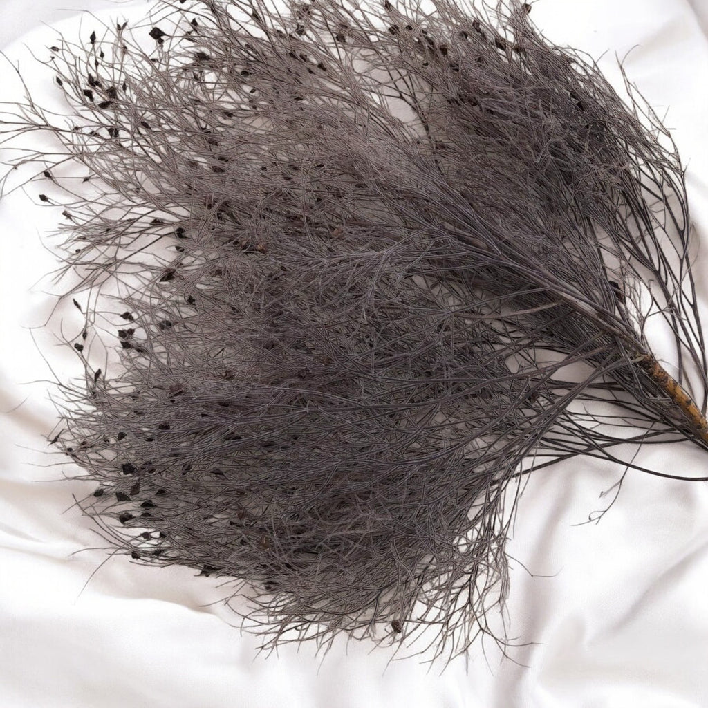 Alilang Decorative Dried Ming Fern Stems for Elegant Home Decoration and Creative Floral Arrangements