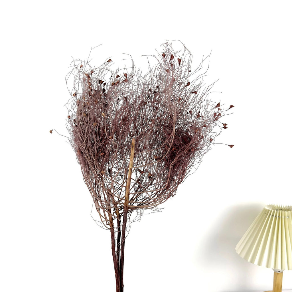 Alilang Decorative Dried Ming Fern Stems for Elegant Home Decoration and Creative Floral Arrangements