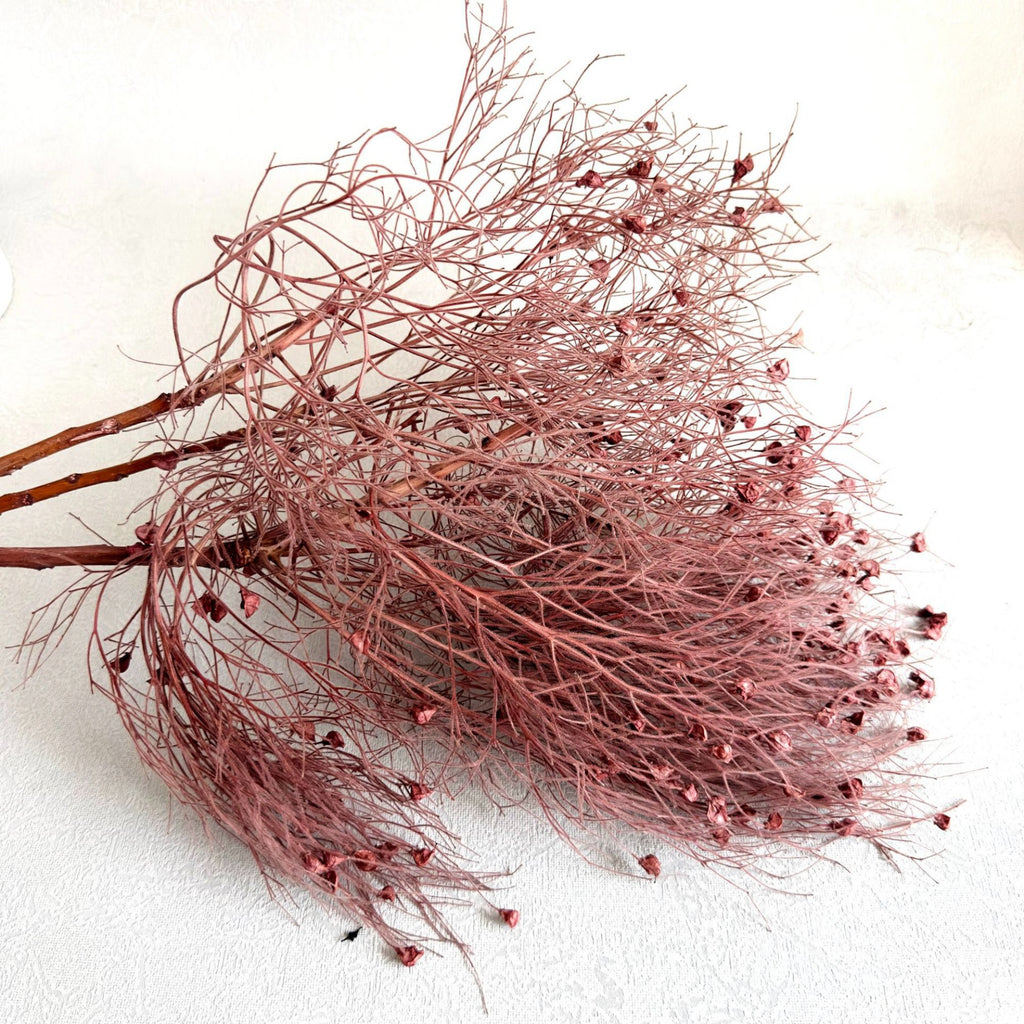 Alilang Decorative Dried Ming Fern Stems for Elegant Home Decoration and Creative Floral Arrangements