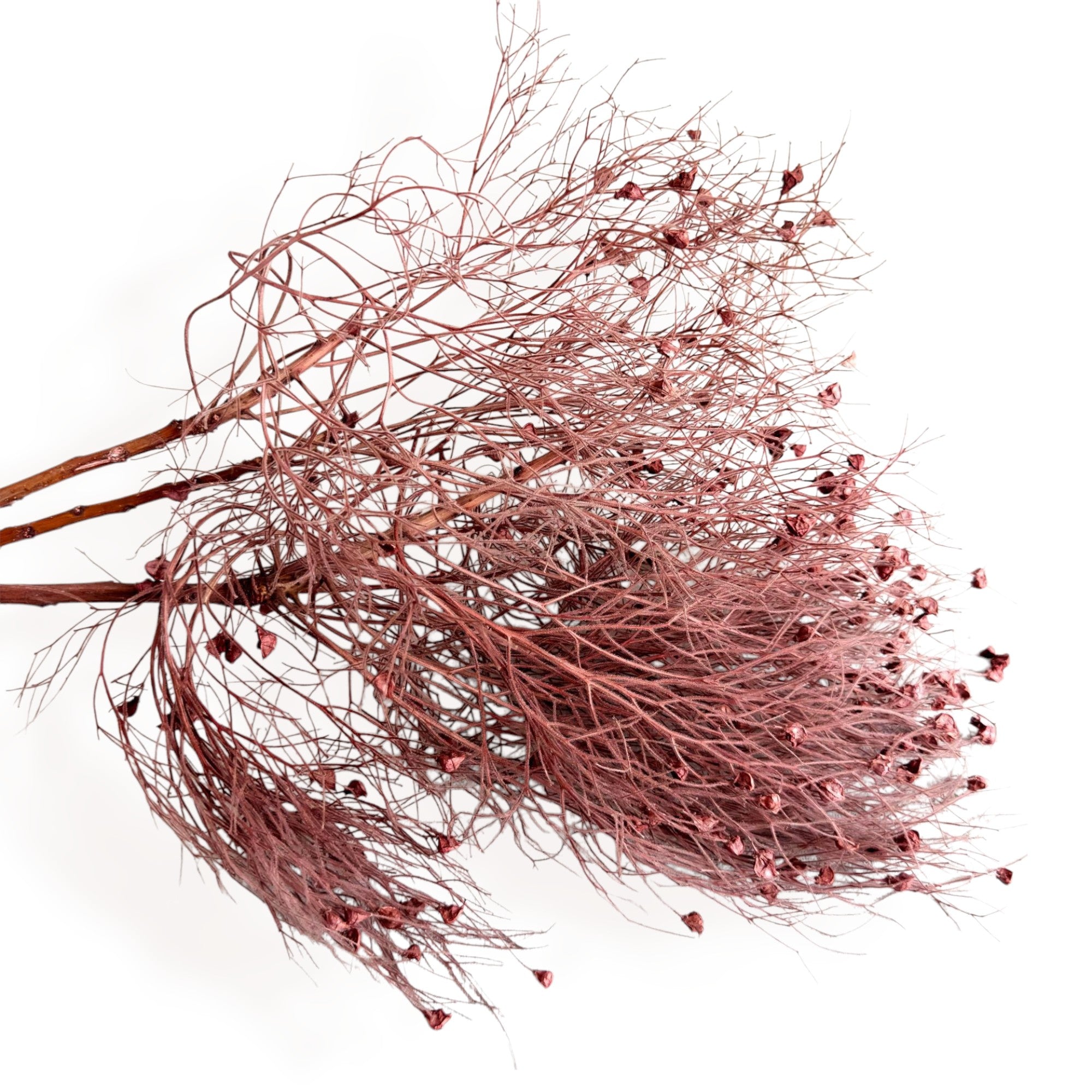 Alilang Decorative Dried Ming Fern Stems for Elegant Home Decoration and Creative Floral Arrangements