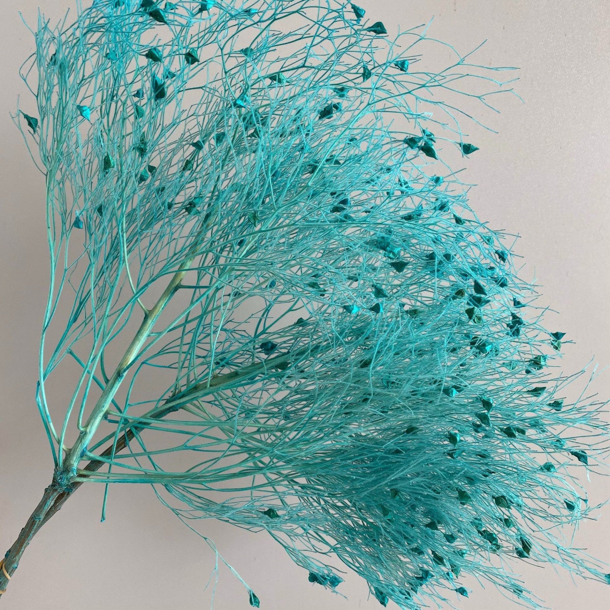 Alilang Decorative Dried Ming Fern Stems for Elegant Home Decoration and Creative Floral Arrangements