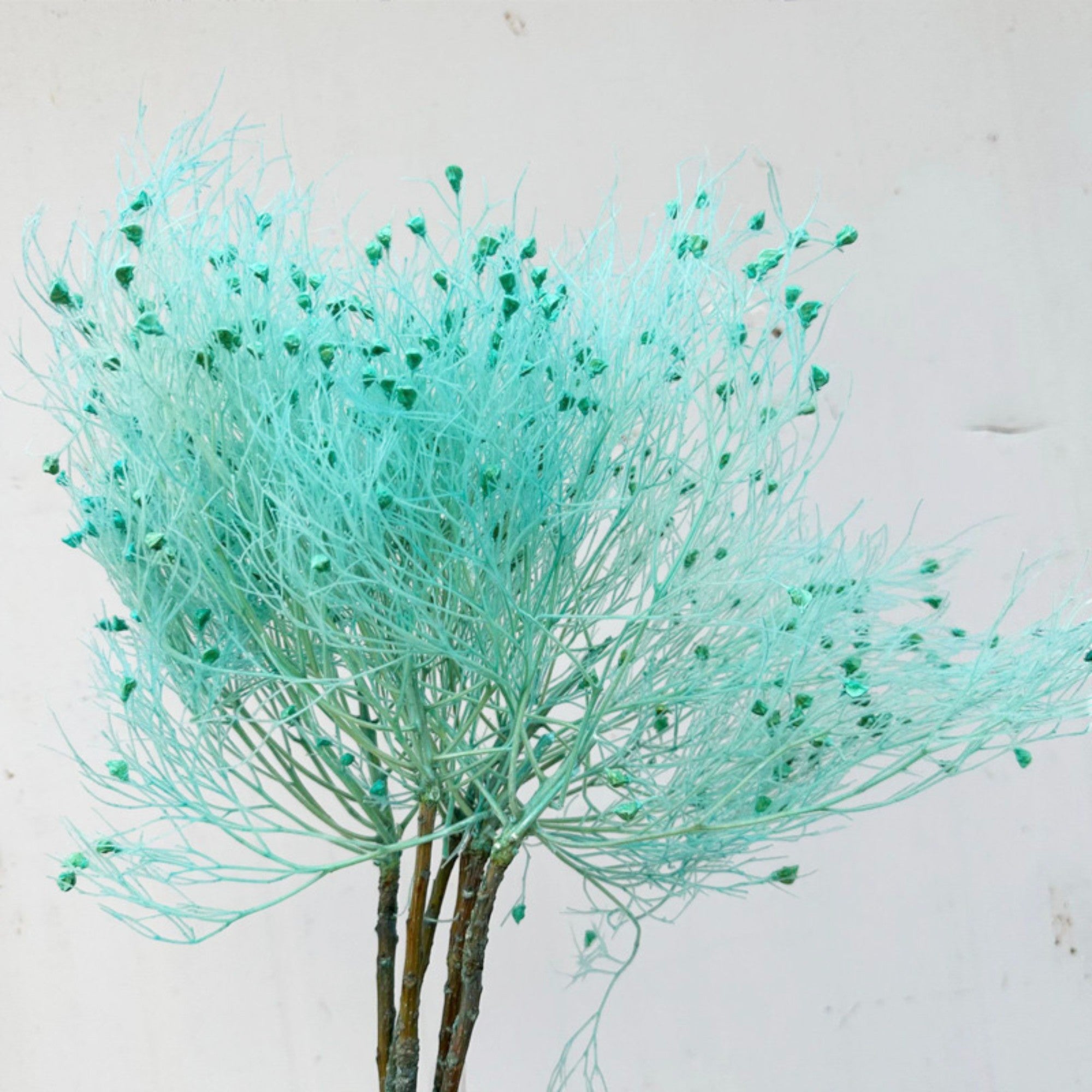 Alilang Decorative Dried Ming Fern Stems for Elegant Home Decoration and Creative Floral Arrangements