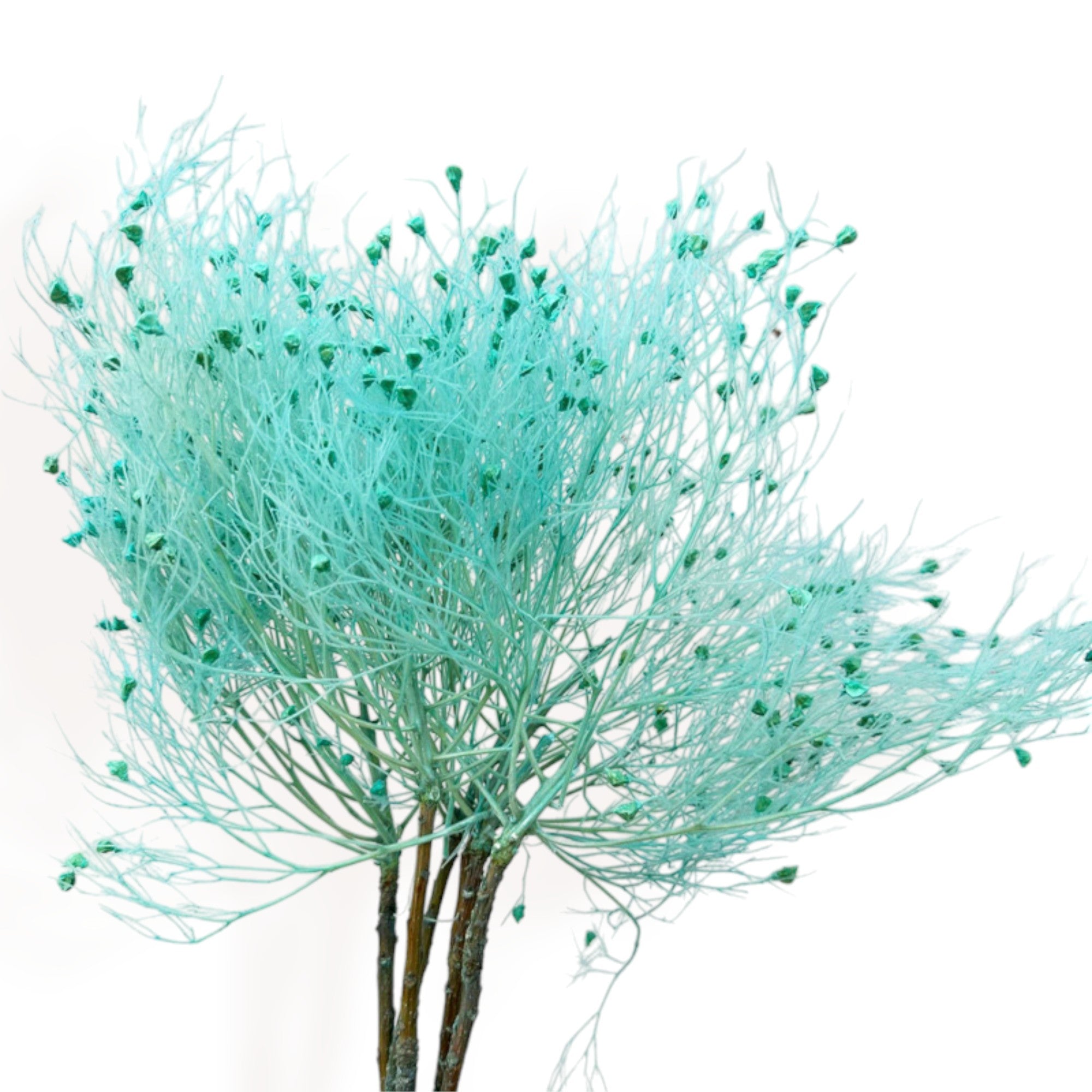 Alilang Decorative Dried Ming Fern Stems for Elegant Home Decoration and Creative Floral Arrangements