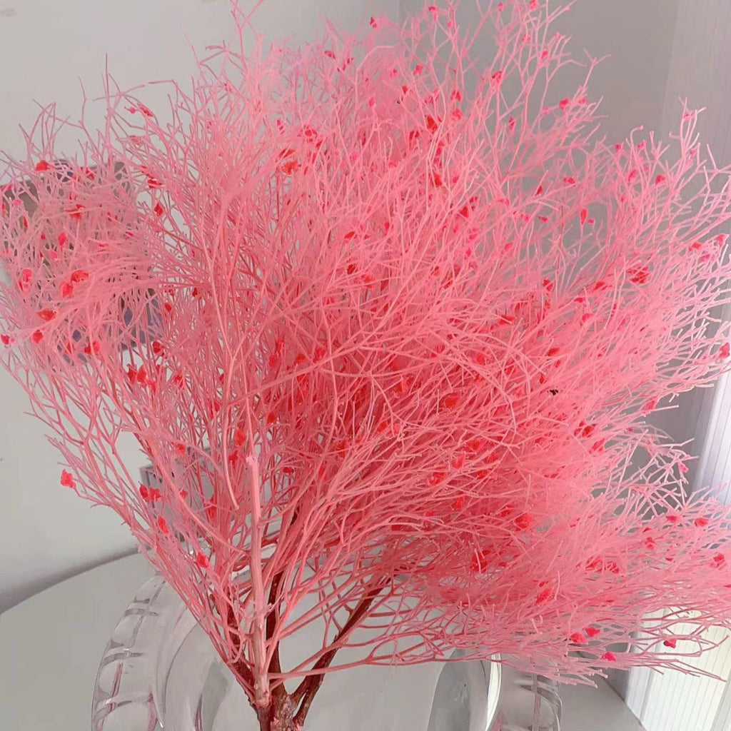 Alilang Decorative Dried Ming Fern Stems for Elegant Home Decoration and Creative Floral Arrangements