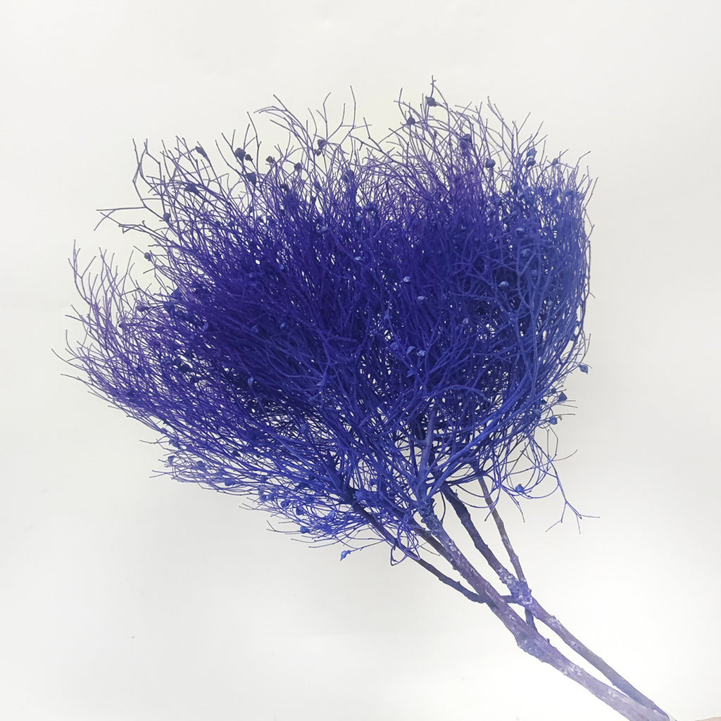 Alilang Decorative Dried Ming Fern Stems for Elegant Home Decoration and Creative Floral Arrangements