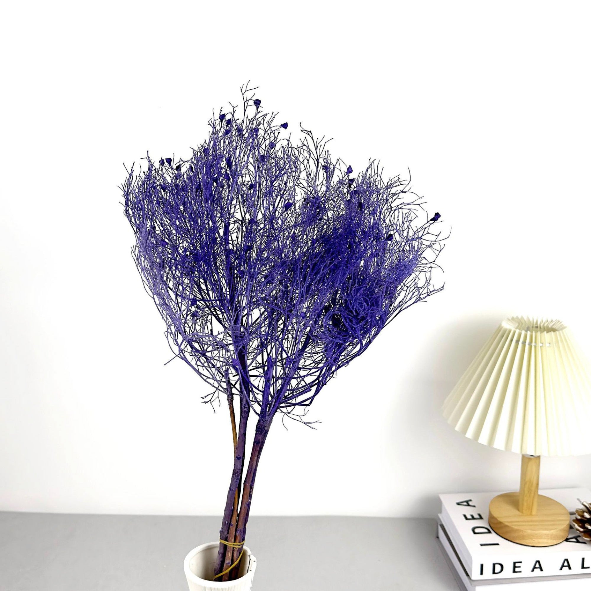 Alilang Decorative Dried Ming Fern Stems for Elegant Home Decoration and Creative Floral Arrangements