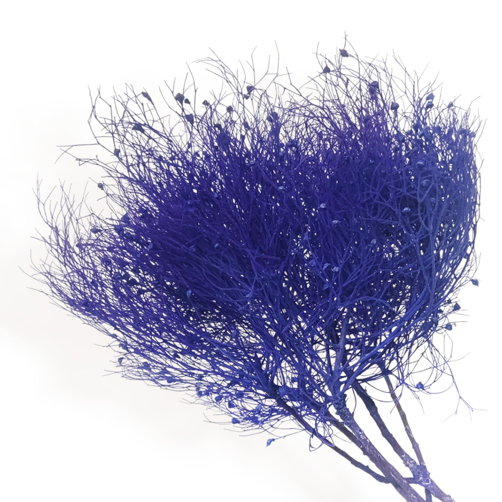 Alilang Decorative Dried Ming Fern Stems for Elegant Home Decoration and Creative Floral Arrangements