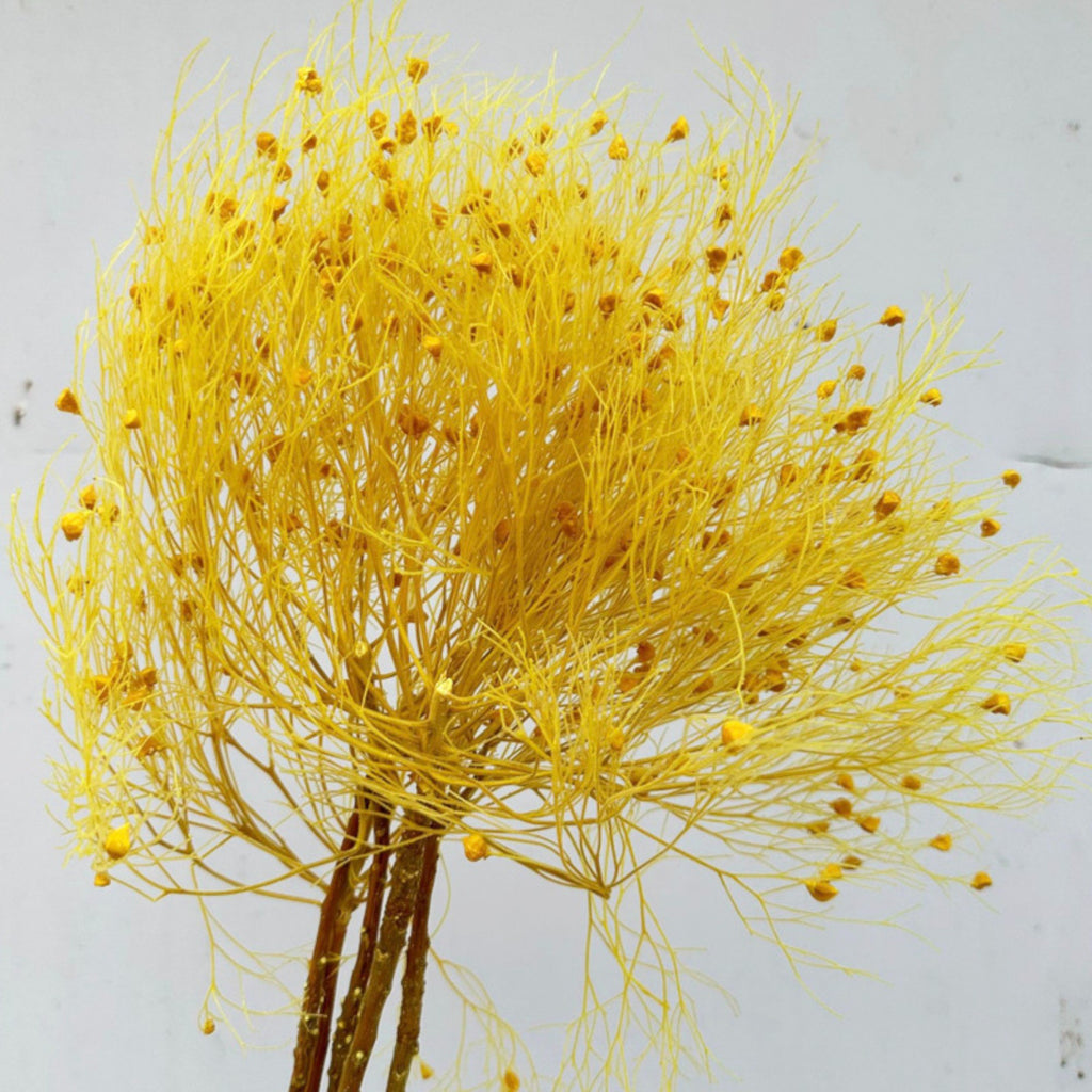 Alilang Decorative Dried Ming Fern Stems for Elegant Home Decoration and Creative Floral Arrangements