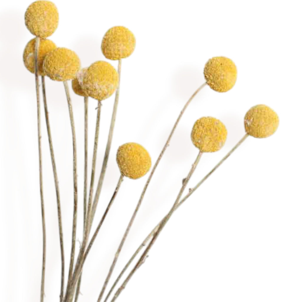 Alilang Decorative Dried Flower Bouquet with Natural Grasses for Home Decoration and Event Centerpieces