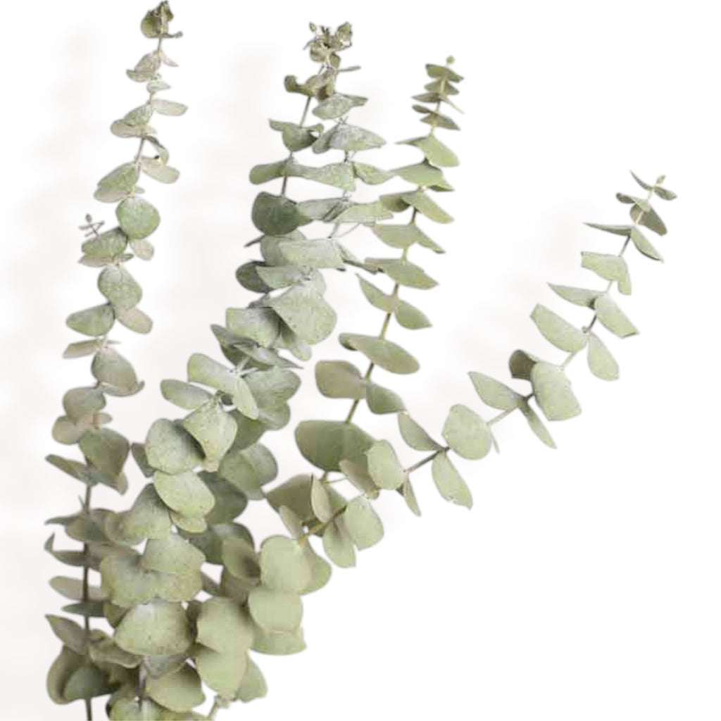 Alilang Decorative Dried Flower Bouquet with Natural Grasses for Home Decoration and Event Centerpieces