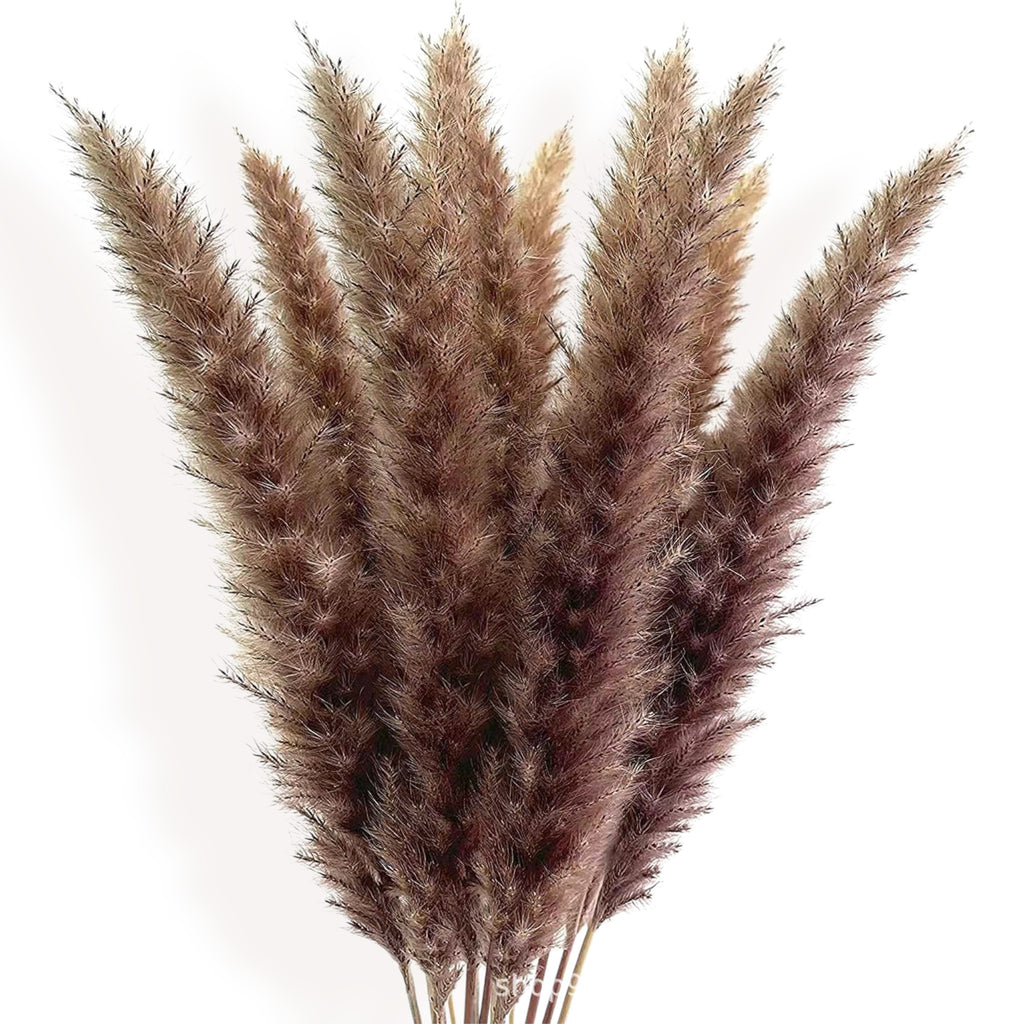 Alilang Decorative Dried Flower Bouquet with Natural Grasses for Home Decoration and Event Centerpieces