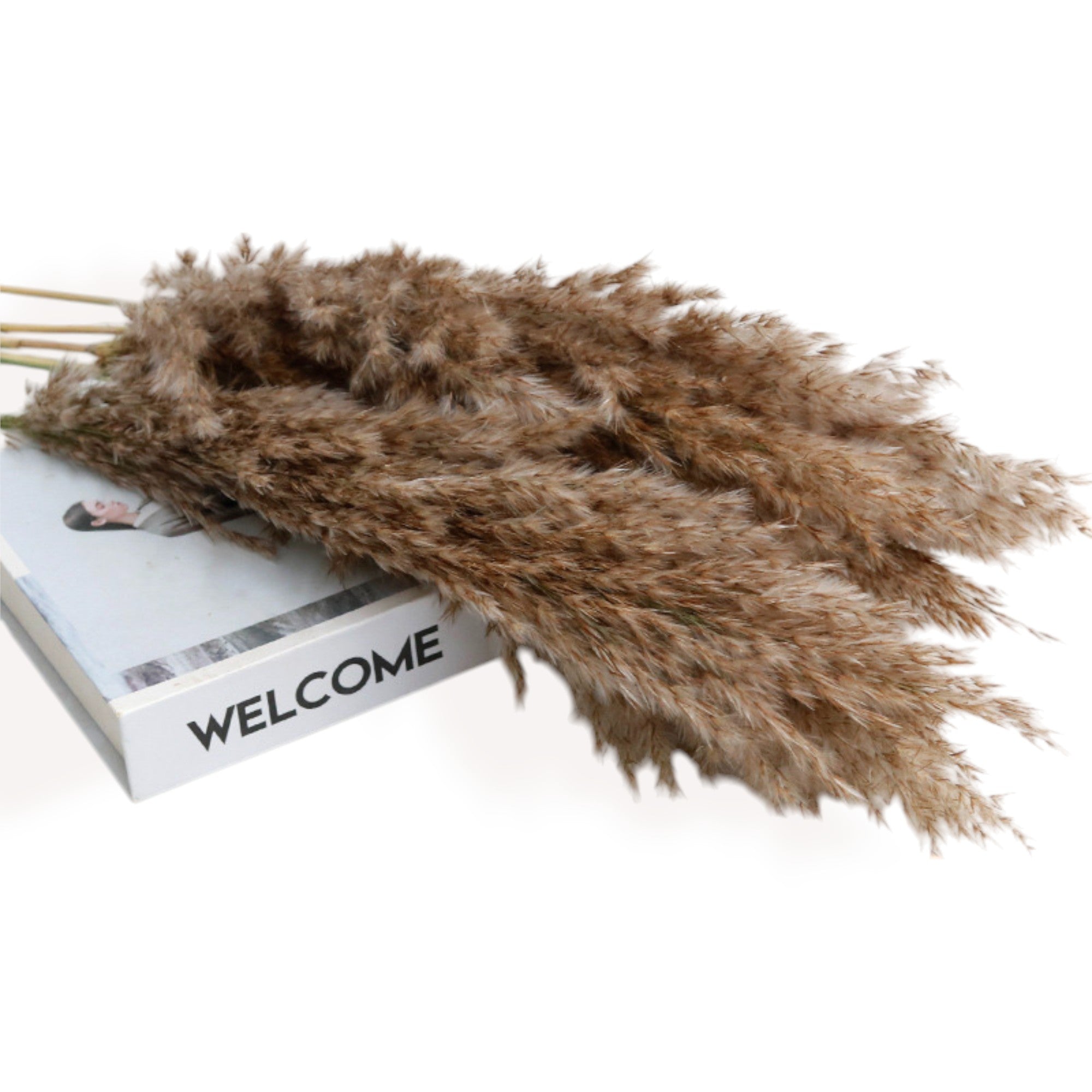 Alilang Decorative Tall Dried Grass Bouquet for Home Decoration and Event Centerpieces
