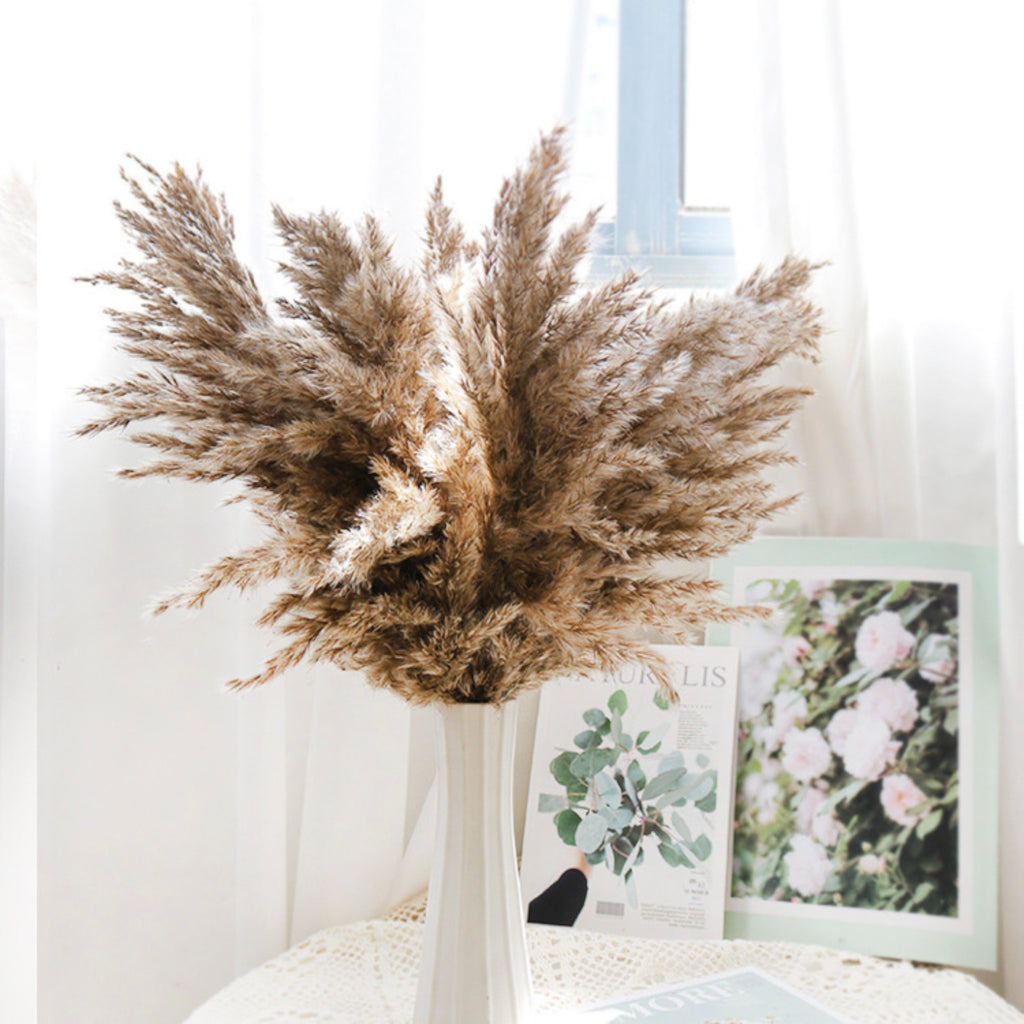 Alilang Decorative Dried Pampas Grass for Elegant Home Decoration and Floral Arrangements