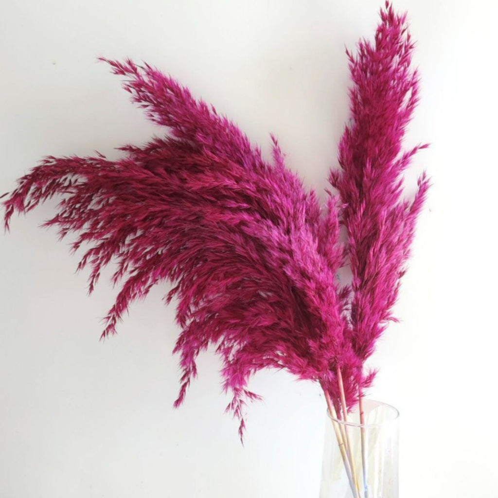 Alilang Decorative Dried Pampas Grass for Elegant Home Decoration and Floral Arrangements
