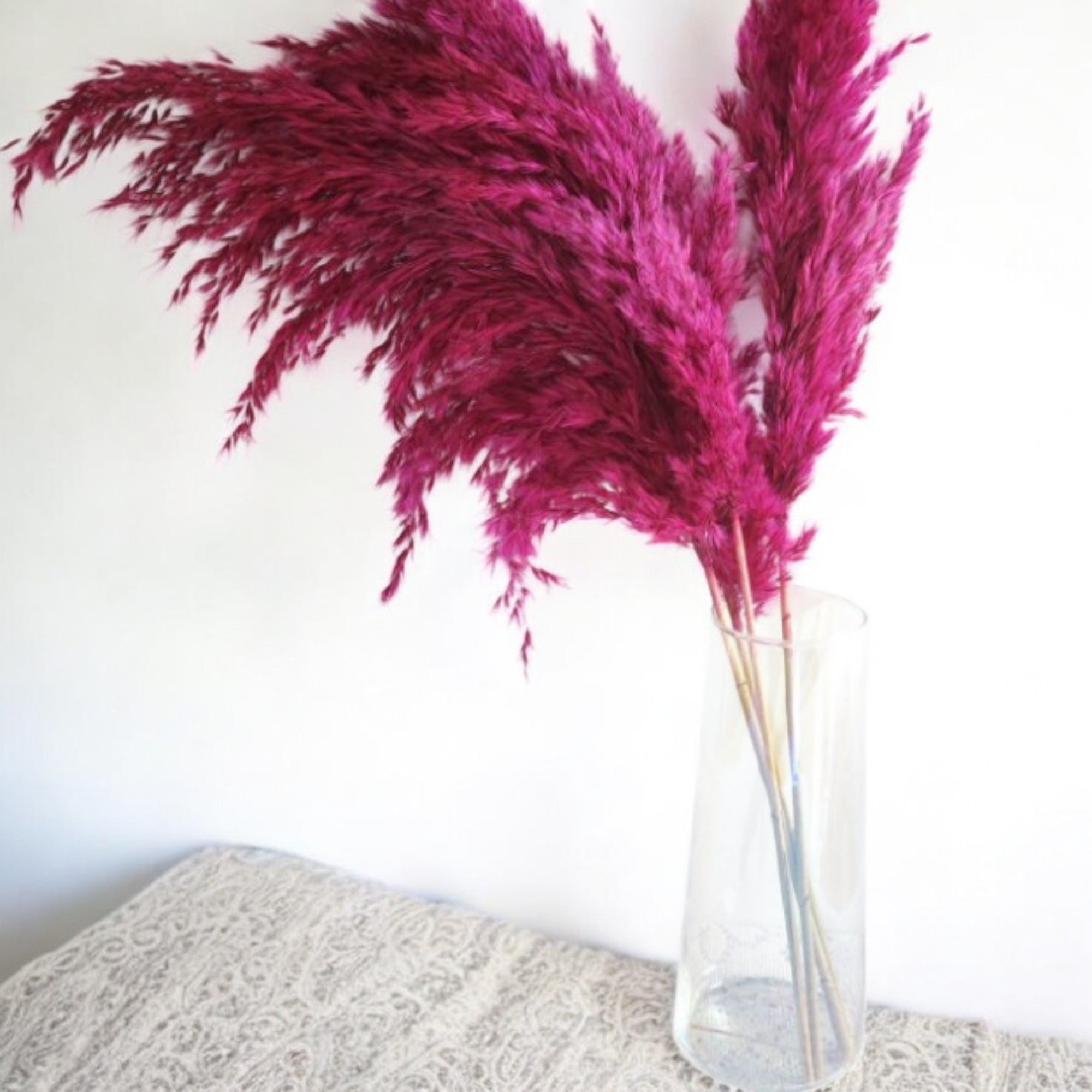 Alilang Decorative Dried Pampas Grass for Elegant Home Decoration and Floral Arrangements
