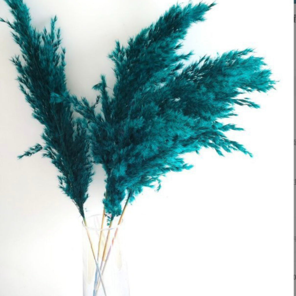 Alilang Decorative Dried Pampas Grass for Elegant Home Decoration and Floral Arrangements