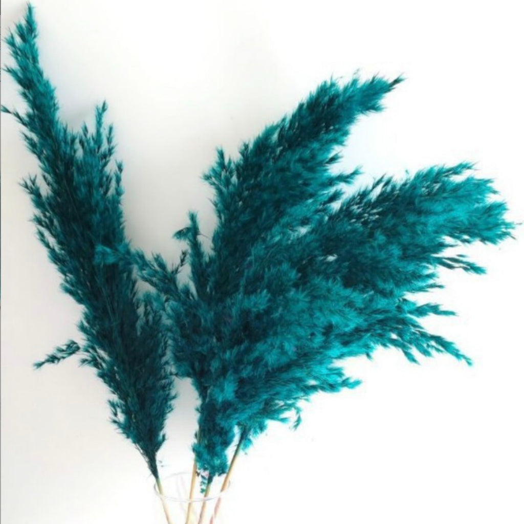 Alilang Decorative Dried Pampas Grass for Elegant Home Decoration and Floral Arrangements