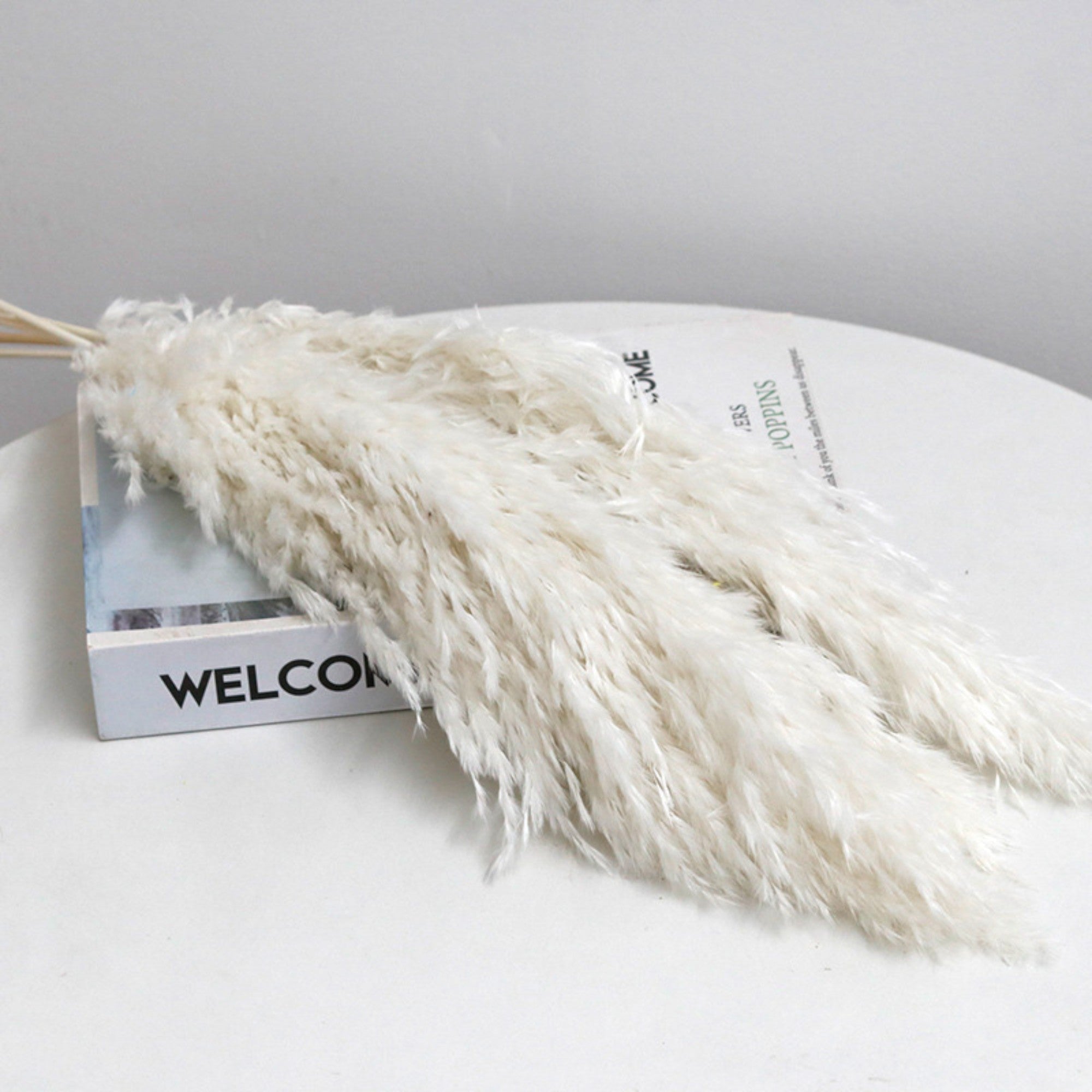 Alilang Decorative Dried Pampas Grass for Elegant Home Decoration and Floral Arrangements