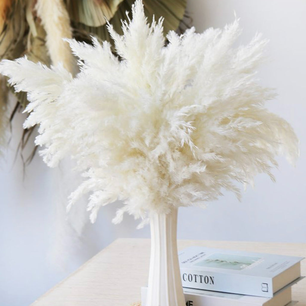 Alilang Decorative Dried Pampas Grass for Elegant Home Decoration and Floral Arrangements