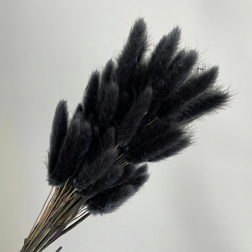 Alilang Dried Bunny Tail Grass Stems for Modern Home Decoration and Floral Arrangements