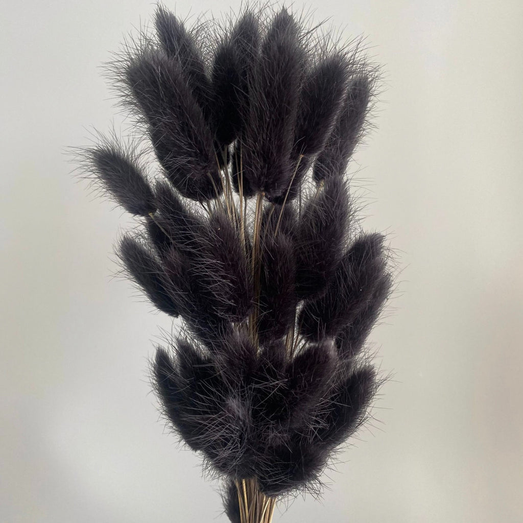 Alilang Dried Bunny Tail Grass Stems for Modern Home Decoration and Floral Arrangements