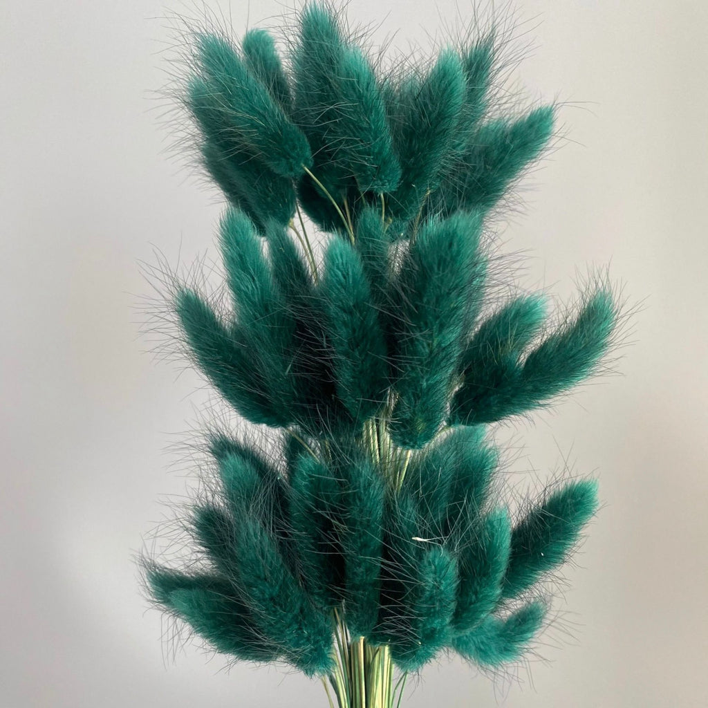 Alilang Dried Bunny Tail Grass Stems for Modern Home Decoration and Floral Arrangements
