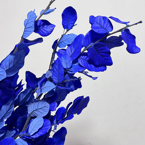 Alilang Decorative Dried Leafy Branches for Modern Home Decoration and Floral Arrangements