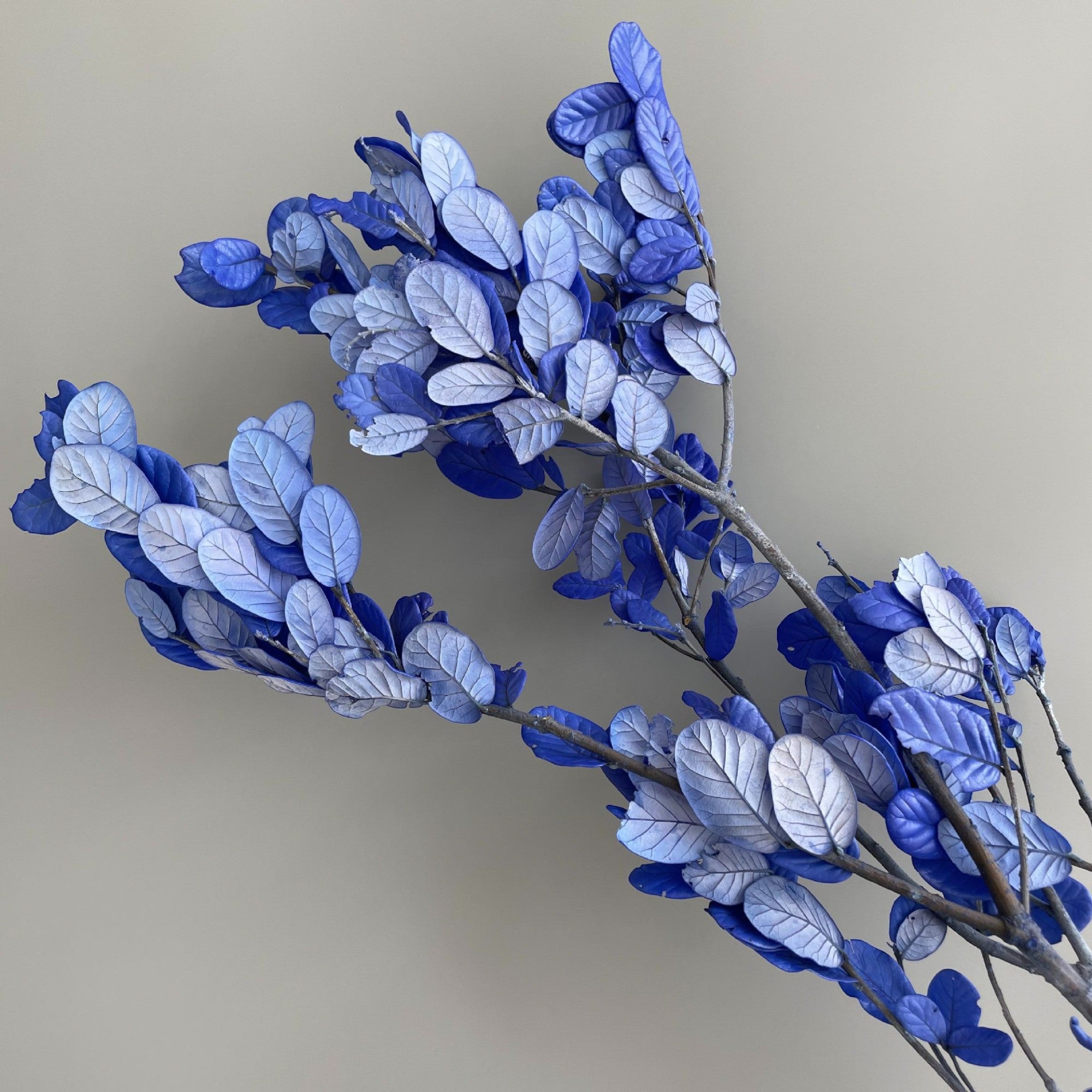 Alilang Decorative Dried Leafy Branches for Modern Home Decoration and Floral Arrangements