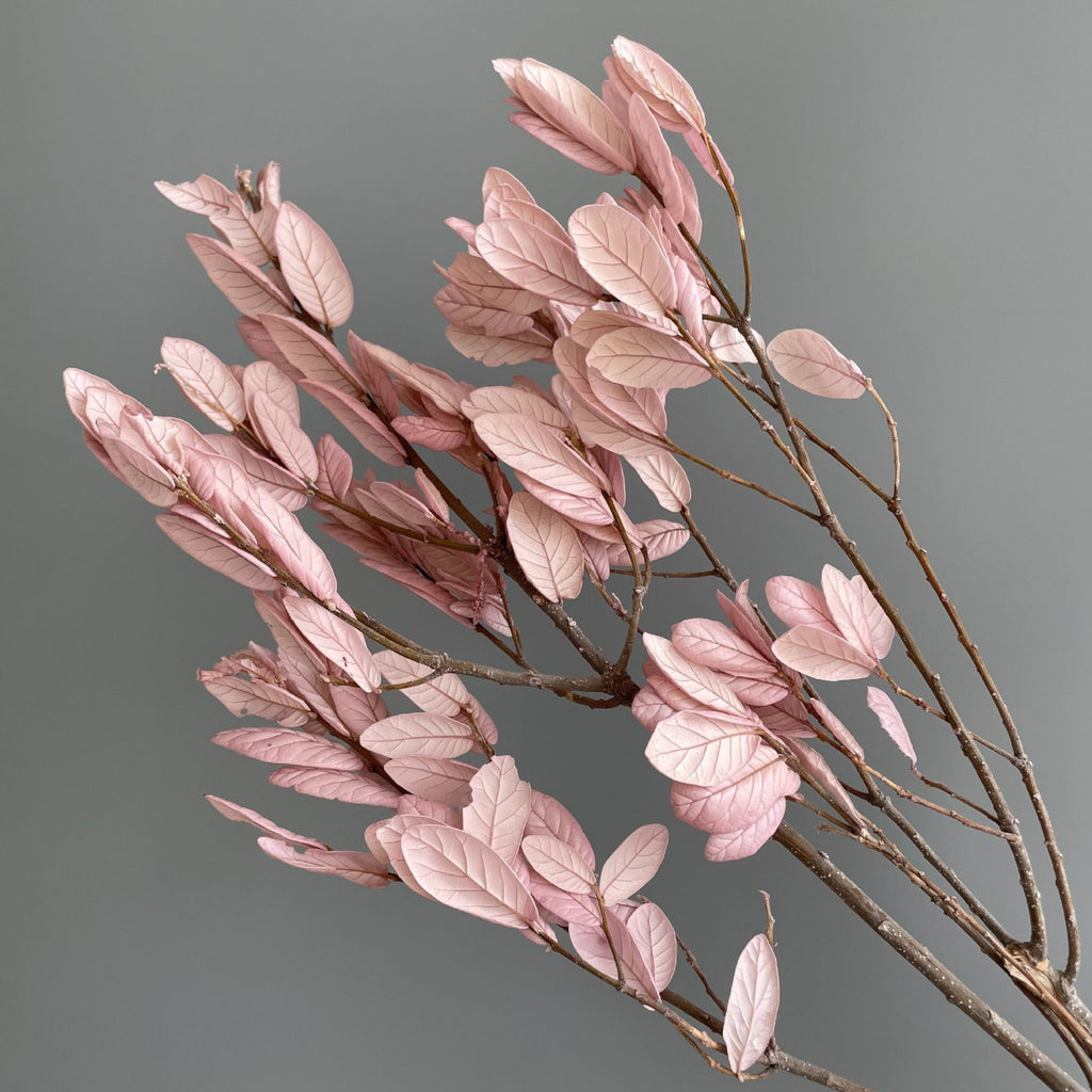 Alilang Decorative Dried Leafy Branches for Modern Home Decoration and Floral Arrangements