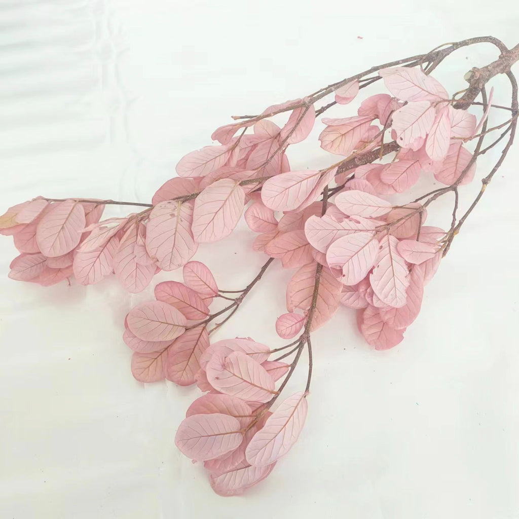 Alilang Decorative Dried Leafy Branches for Modern Home Decoration and Floral Arrangements