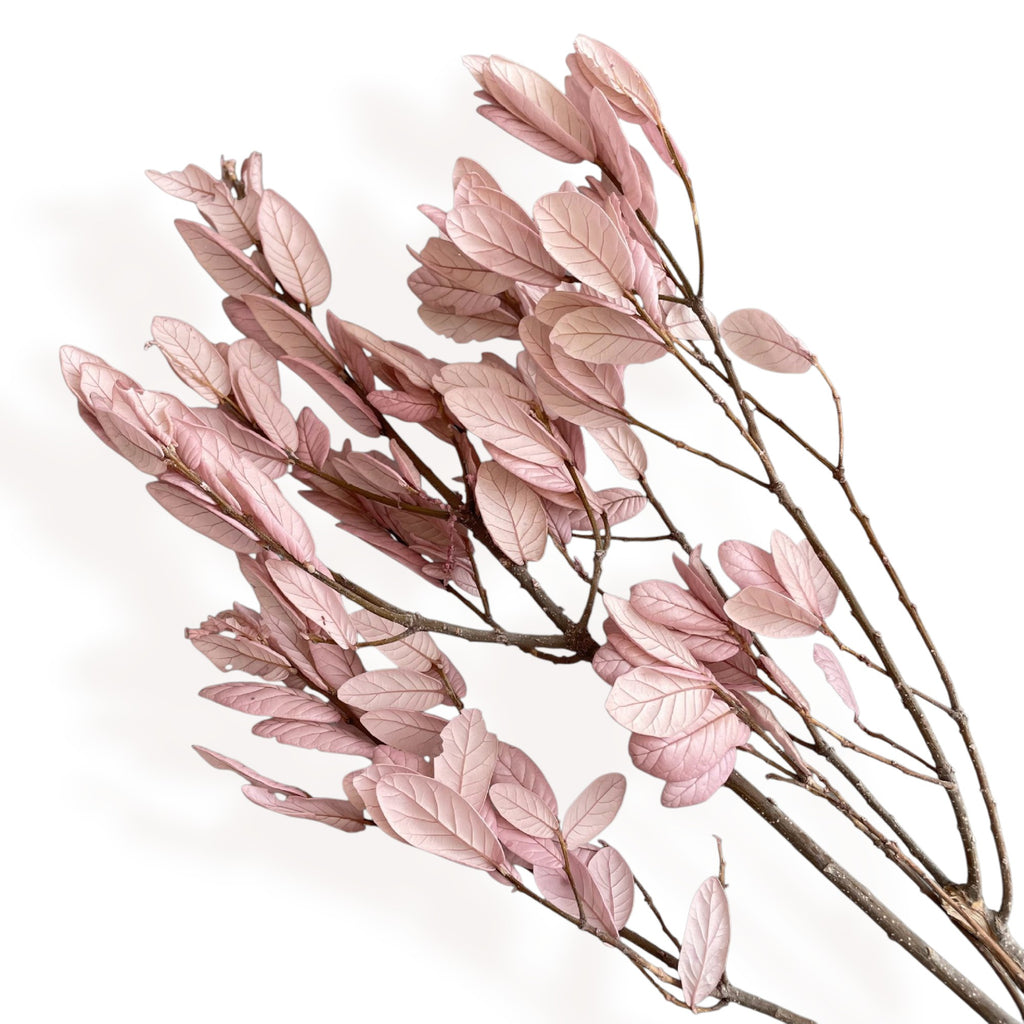 Alilang Decorative Dried Leafy Branches for Modern Home Decoration and Floral Arrangements