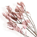 Alilang Decorative Dried Leafy Branches for Modern Home Decoration and Floral Arrangements